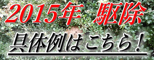 2015年駆除具体例