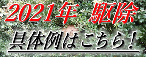 2021年駆除具体例