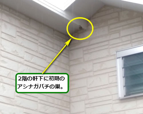 アシナガバチ駆除軒下