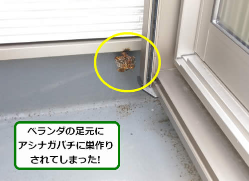 アシナガバチ駆除ベランダ