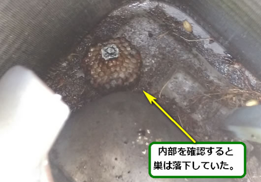 アシナガバチの巣駆除室外機