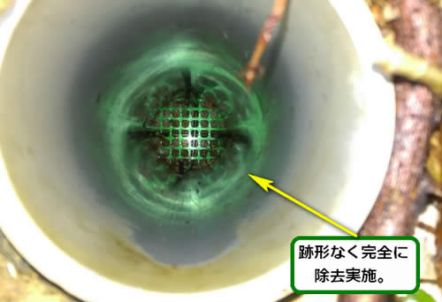 スズメバチの巣除去排水管