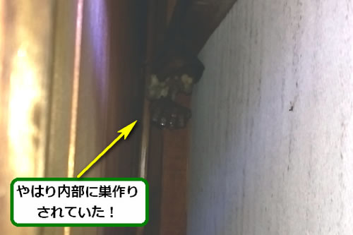 スズメバチの巣駆除戸袋内