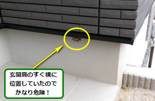 アシナガバチ駆除壁面下部