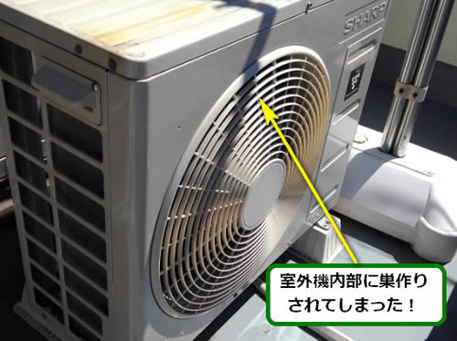 アシナガバチ駆除エアコン室外機