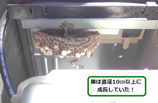 アシナガバチの巣駆除エアコン室外機