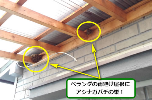アシナガバチ駆除雨避け屋根
