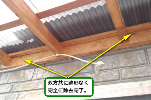 アシナガバチの巣完全除去