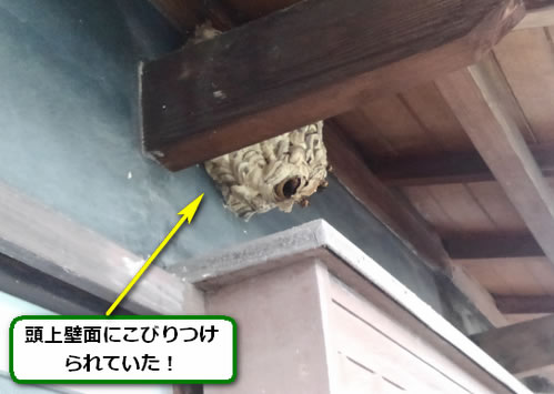 スズメバチ駆除ベランダ軒下