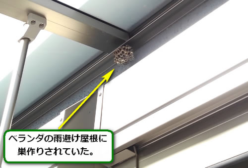 アシナガバチ駆除雨避け屋根