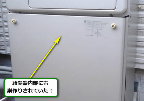 アシナガバチ駆除給湯器
