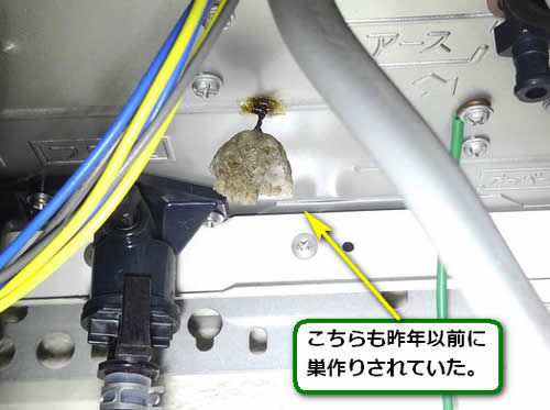 アシナガバチの巣給湯器内部