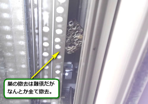 アシナガバチの巣完全除去