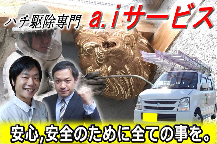 蜂駆除専門a.iサービス