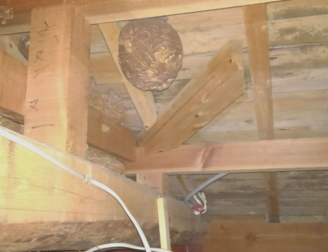 一階天井裏例