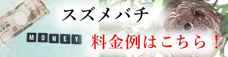 スズメバチ料金例はこちら